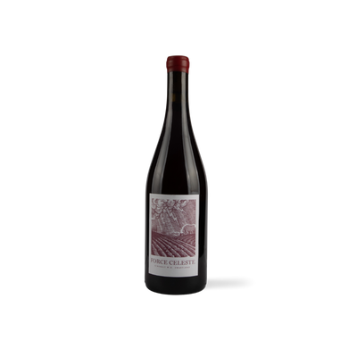 Cinsault 2024